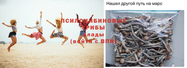 гашик Алексеевка