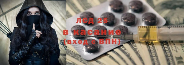 гашик Алексеевка