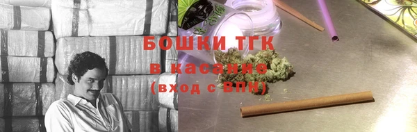 гашик Алексеевка