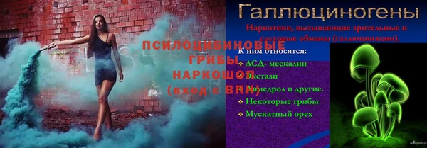 гашик Алексеевка