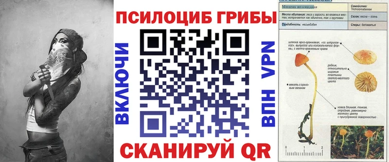 наркошоп Лебедянь Галлюциногенные грибы ЛСД