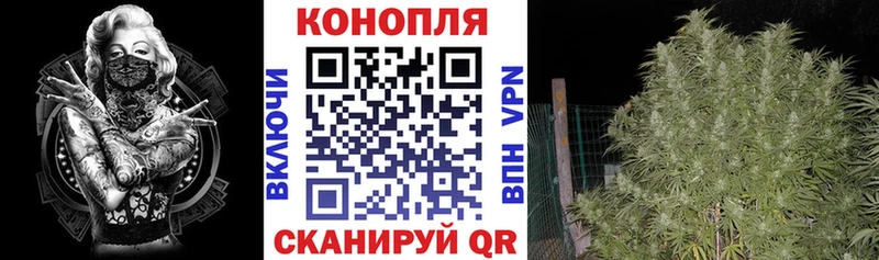 Шишки марихуана гибрид Лебедянь